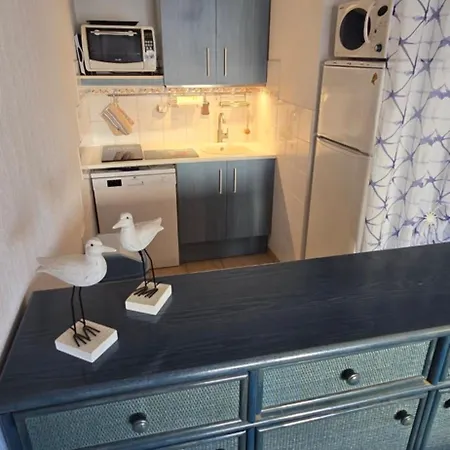 Lavandines I Joli T3 Mitoyenne Piscine Proche Rochelongue Cap D'agde