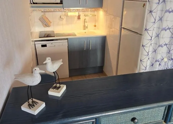 Lavandines I Joli T3 Mitoyenne Piscine Proche Rochelongue Cap D'agde